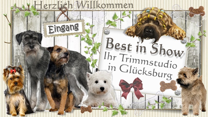 Hundesalon Gluecksburg